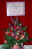 SBS (3021).JPG